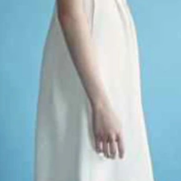 Birds of North America Hoover Wedding Dress - Picture 7 of 8